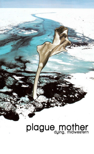 Plague Mother : Dying, Midwestern. (Cass, C30 + Cass, C20 + Album, Ltd)